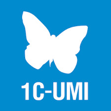 Сертификат 1C-UMI: Копирайтинг+SEO. Фото 1
